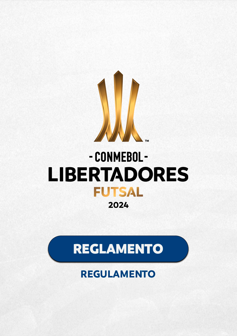 Reglamento Conmebol Libertadores 2024 Terry