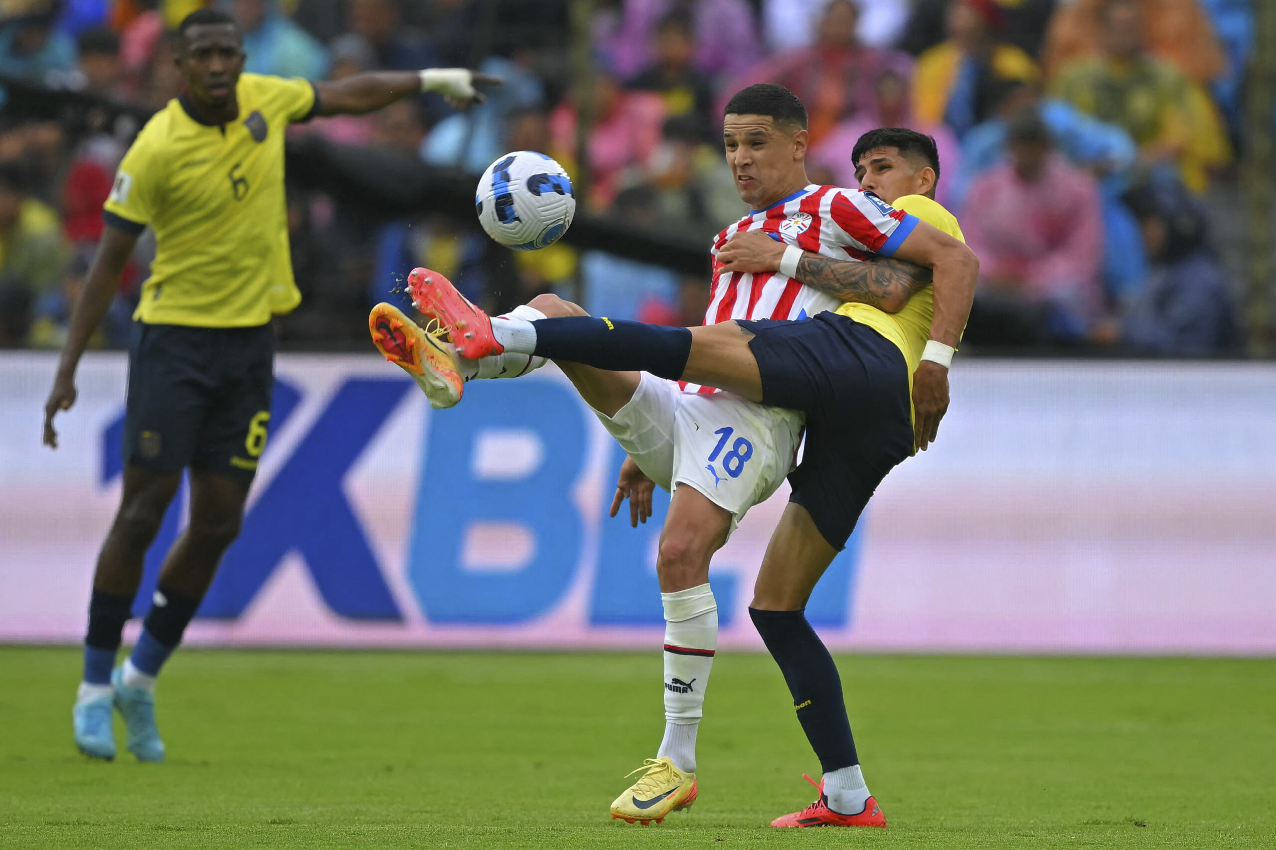 Ecuador and Paraguay do not take advantage of each other in Quito – CONMEBOL